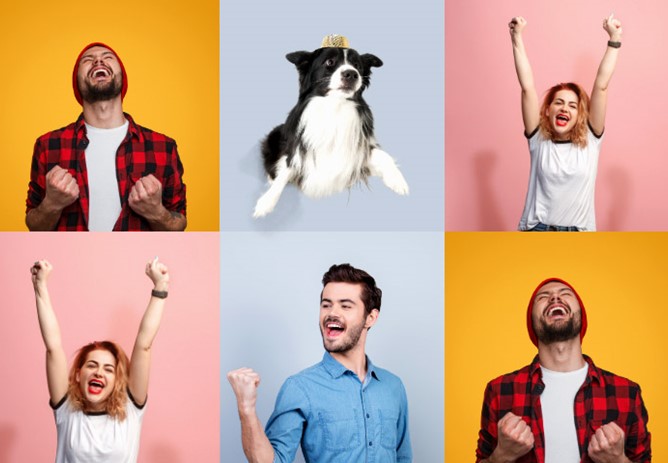 Members Draw - December 2024